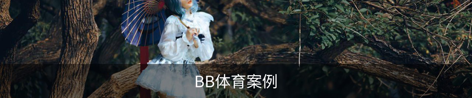 BB体育案例