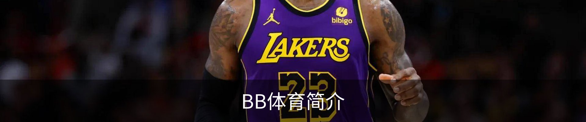 BB体育简介